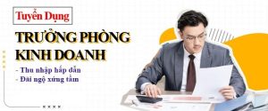 Trưởng phòng kinh doanh Bất động sản