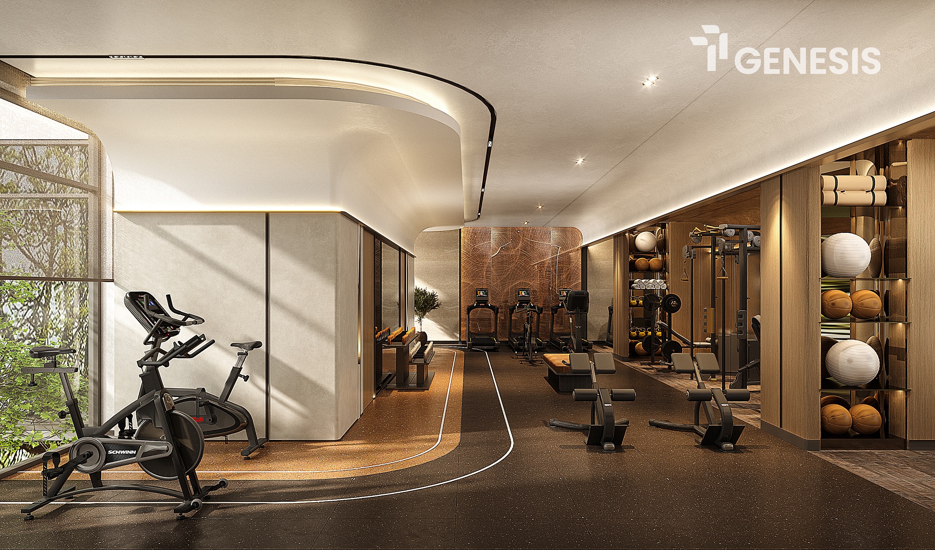 TT Genesis 48 Gym 1